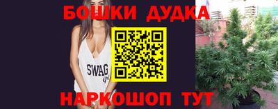 jwh Кингисепп