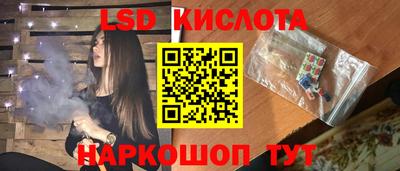 jwh Кингисепп